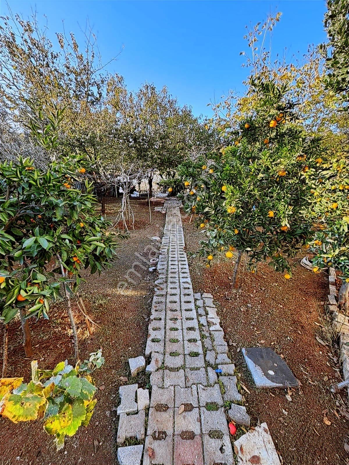 Uçan'dan Yenişehir 540m2 İçerisinde Villa Bayram Kadar!! - Görsel 25