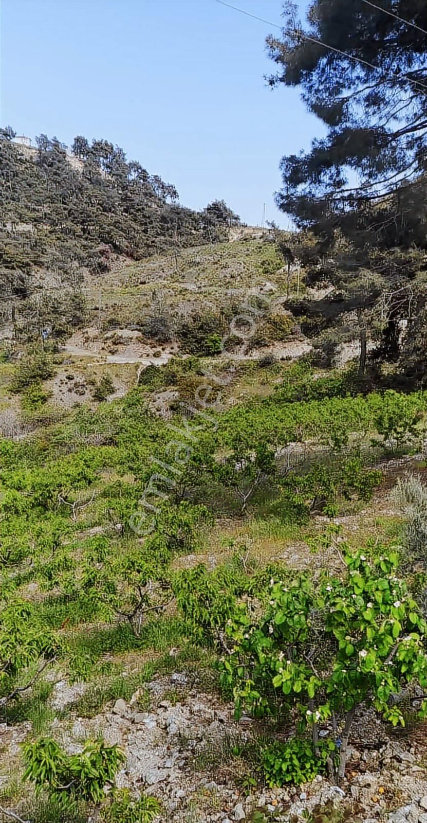 Uçandan Anayol Kenarı Doğalkaynak Suyu Olan Hazır Kurulu Bahçe