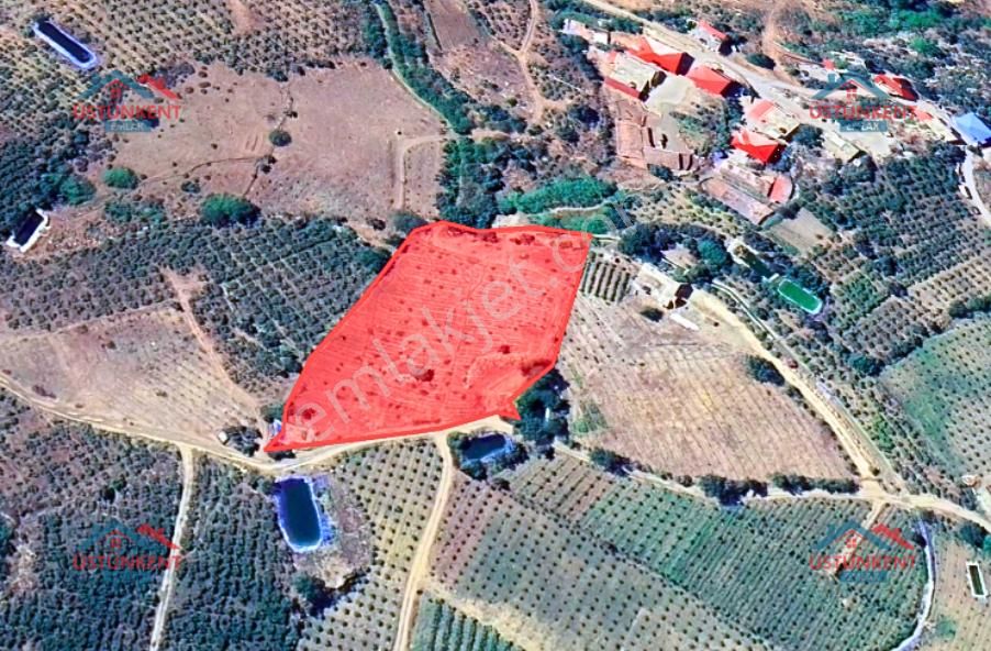 Üstünkent - Kocayer'de Köyiçi 5 Dönüm Satılık Yola Cephe Tarla - Görsel 4