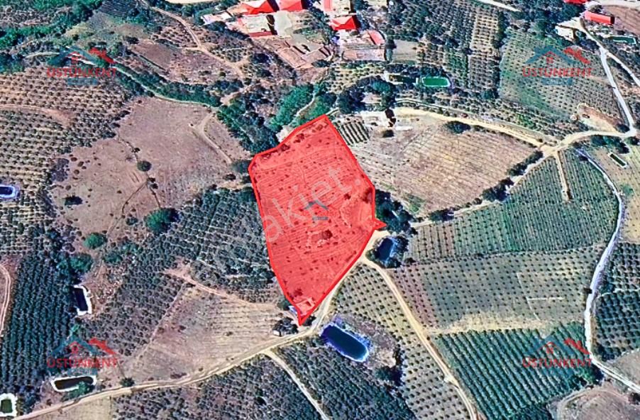 Üstünkent - Kocayer'de Köyiçi 5 Dönüm Satılık Yola Cephe Tarla