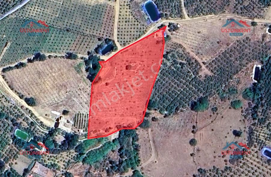 Üstünkent - Kocayer'de Köyiçi 5 Dönüm Satılık Yola Cephe Tarla - Görsel 5