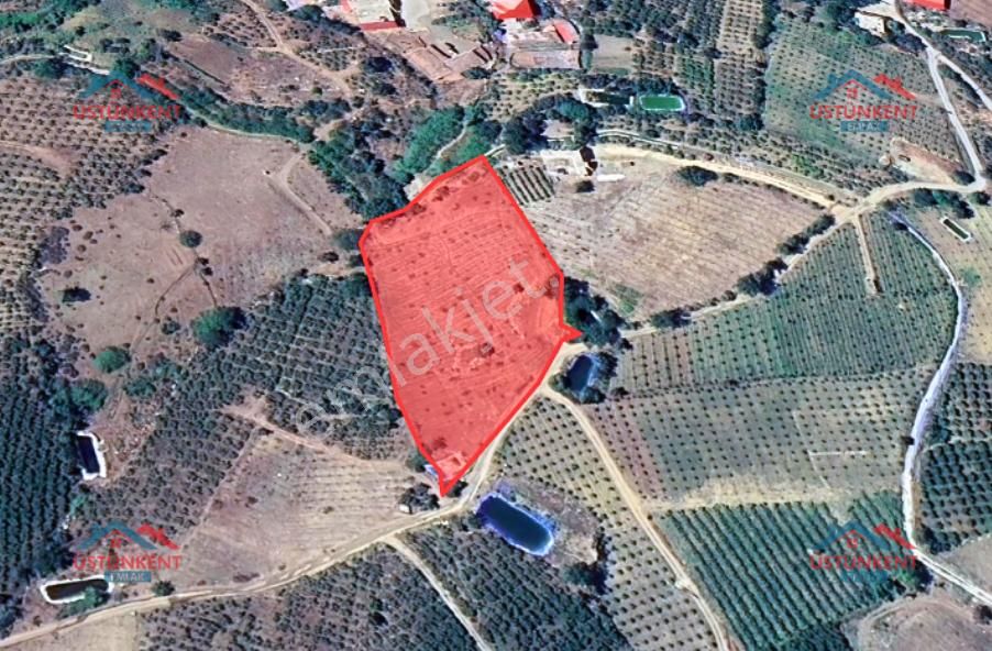 Üstünkent - Kocayer'de Köyiçi 5 Dönüm Satılık Yola Cephe Tarla - Görsel 7