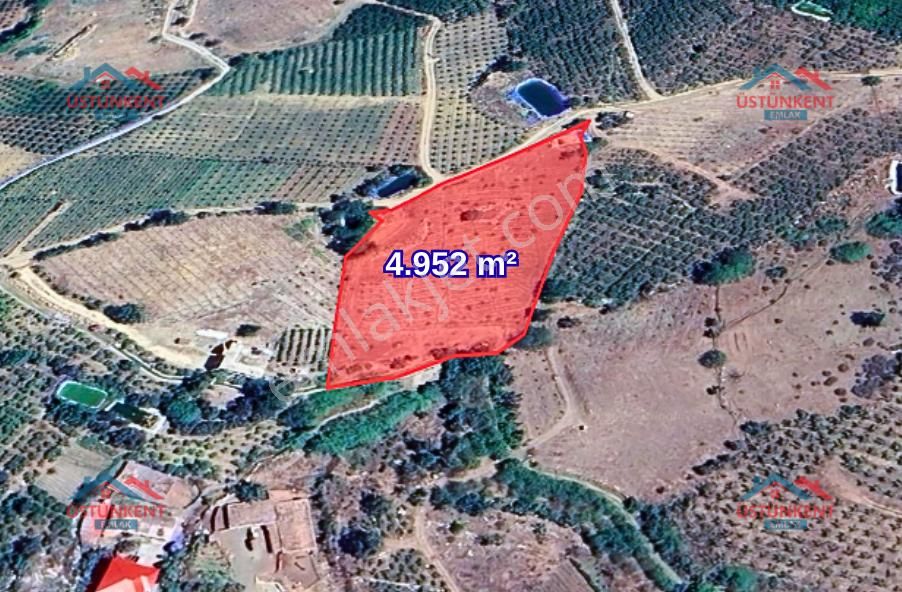 Üstünkent - Kocayer'de Köyiçi 5 Dönüm Satılık Yola Cephe Tarla - Görsel 2