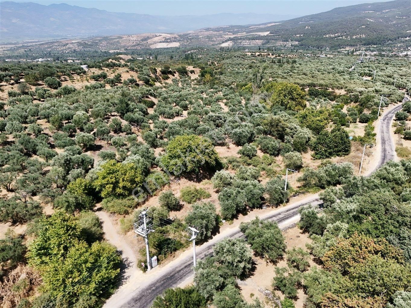 Aydın Karacasu Bahçeköy'de Doğanın Kalbinde Satılık Müstakil Zeytinlik - Görsel 20