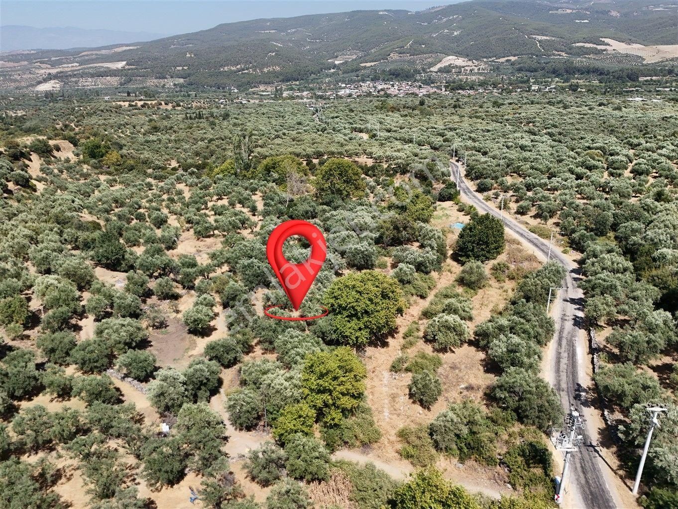 Aydın Karacasu Bahçeköy'de Doğanın Kalbinde Satılık Müstakil Zeytinlik - Görsel 12