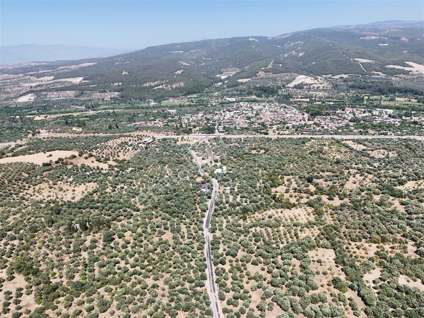 Aydın Karacasu Bahçeköy'de Doğanın Kalbinde Satılık Müstakil Zeytinlik - Görsel 18