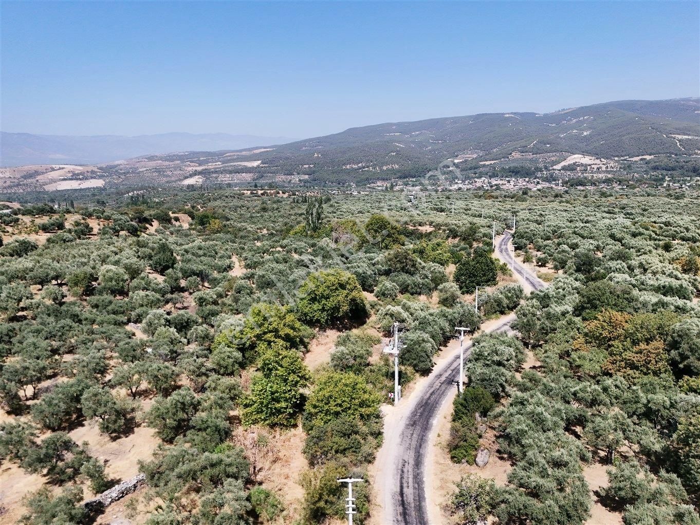 Aydın Karacasu Bahçeköy'de Doğanın Kalbinde Satılık Müstakil Zeytinlik - Görsel 30