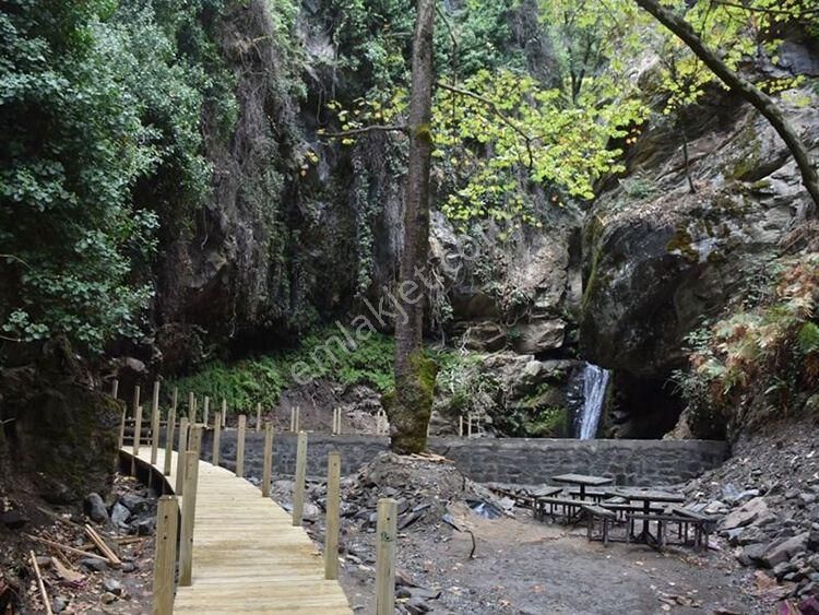 Aydın Karacasu Bahçeköy'de Doğanın Kalbinde Satılık Müstakil Zeytinlik - Görsel 2