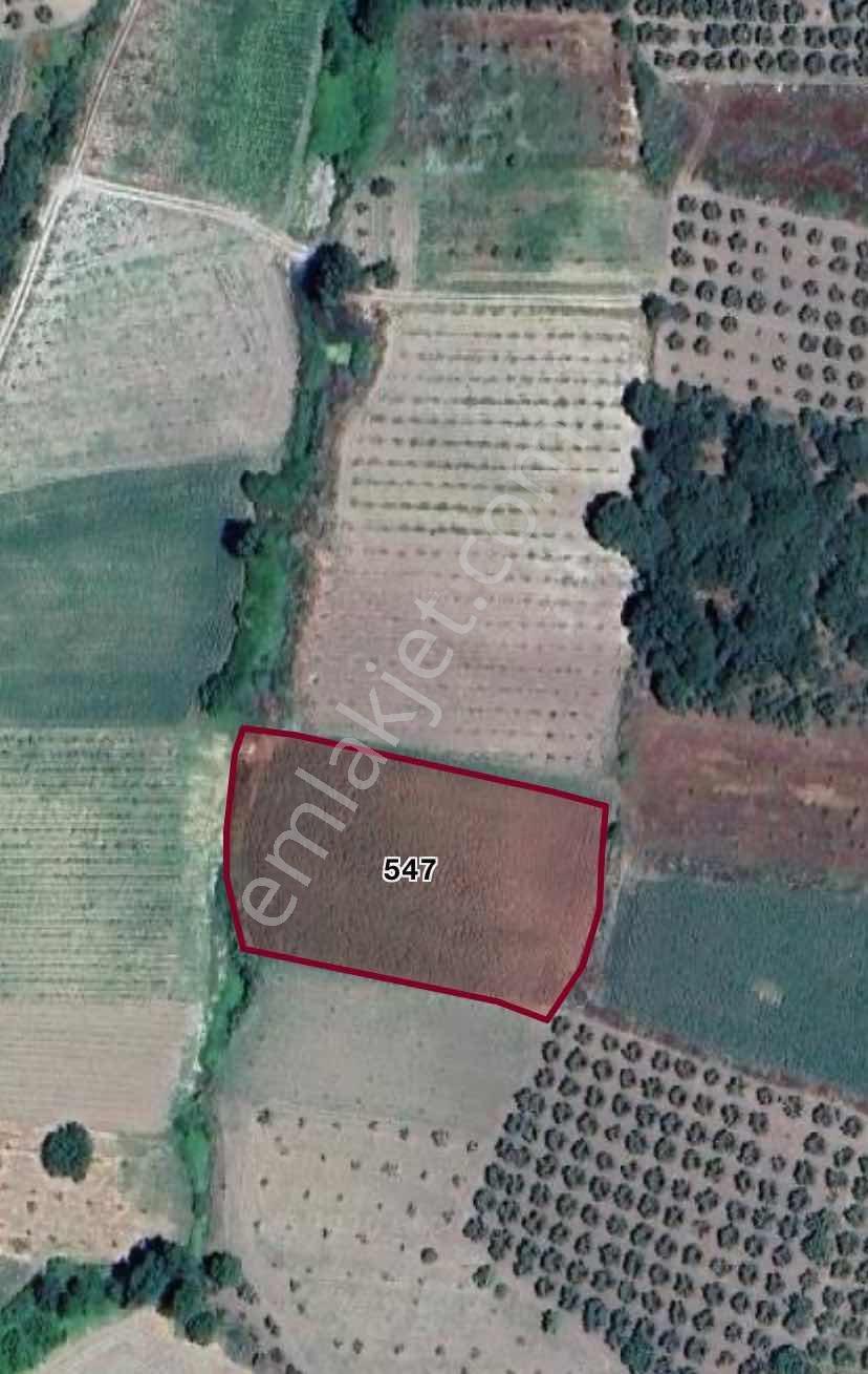 Bursa Nilüfer Büyükbalıklı 3.850 M2 Yatırımlık Satılık Tarla - Görsel 4