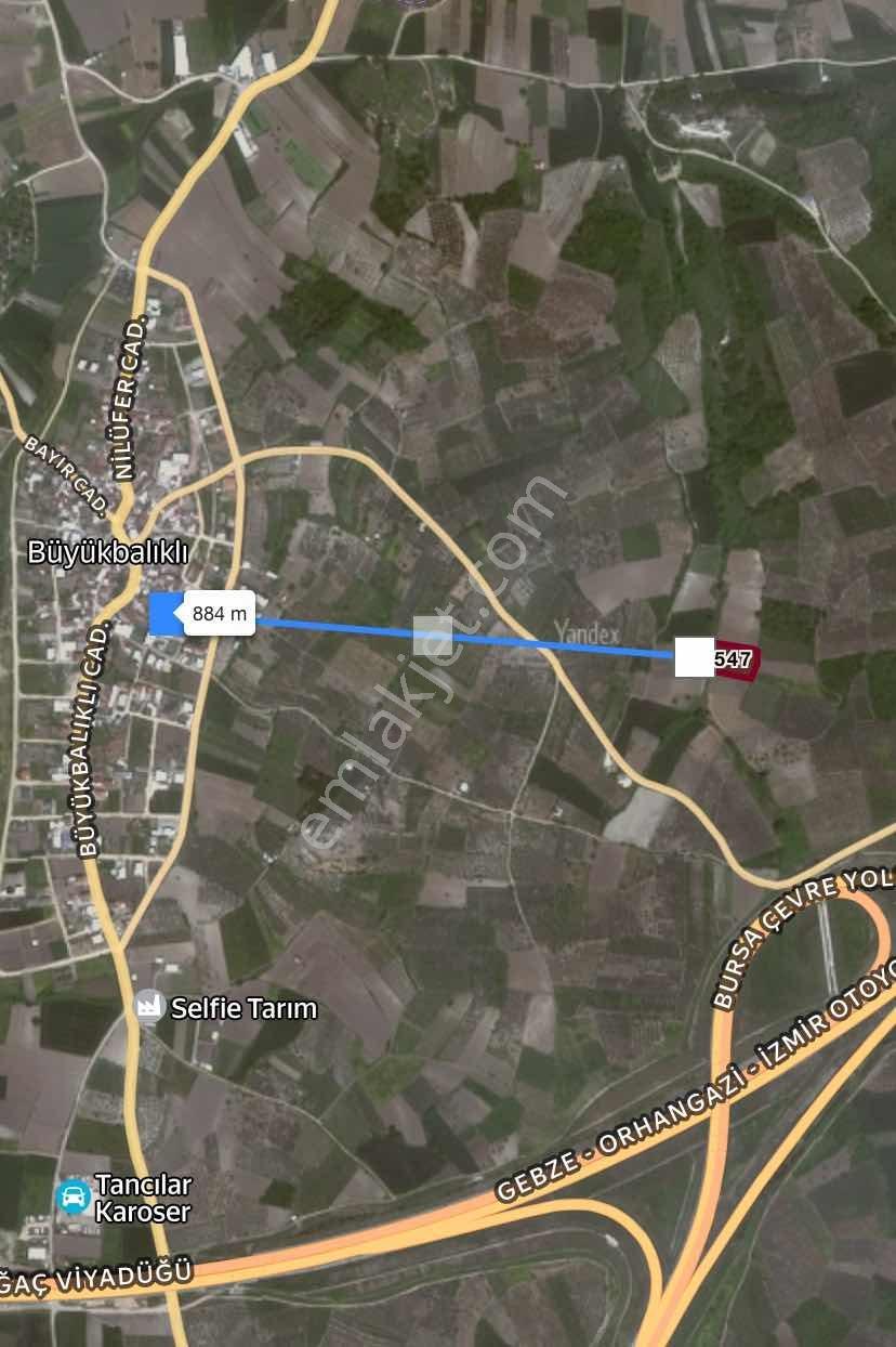 Bursa Nilüfer Büyükbalıklı 3.850 M2 Yatırımlık Satılık Tarla - Görsel 3