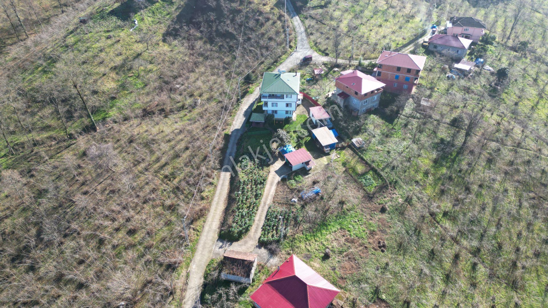 Trabzon Arsin'de 1600 M² Arsa İçinde Müstakil Yaşam Alanı - Görsel 6
