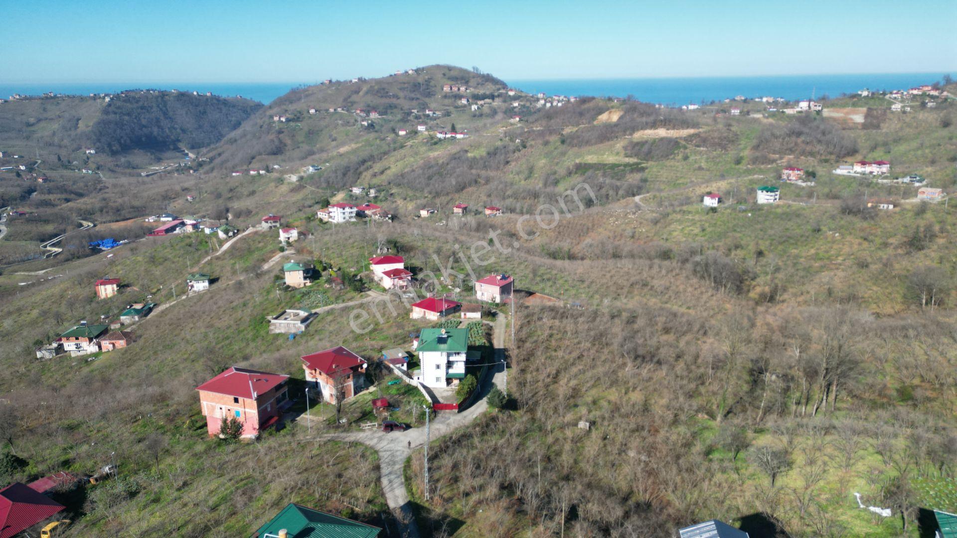 Trabzon Arsin'de 1600 M² Arsa İçinde Müstakil Yaşam Alanı - Görsel 3