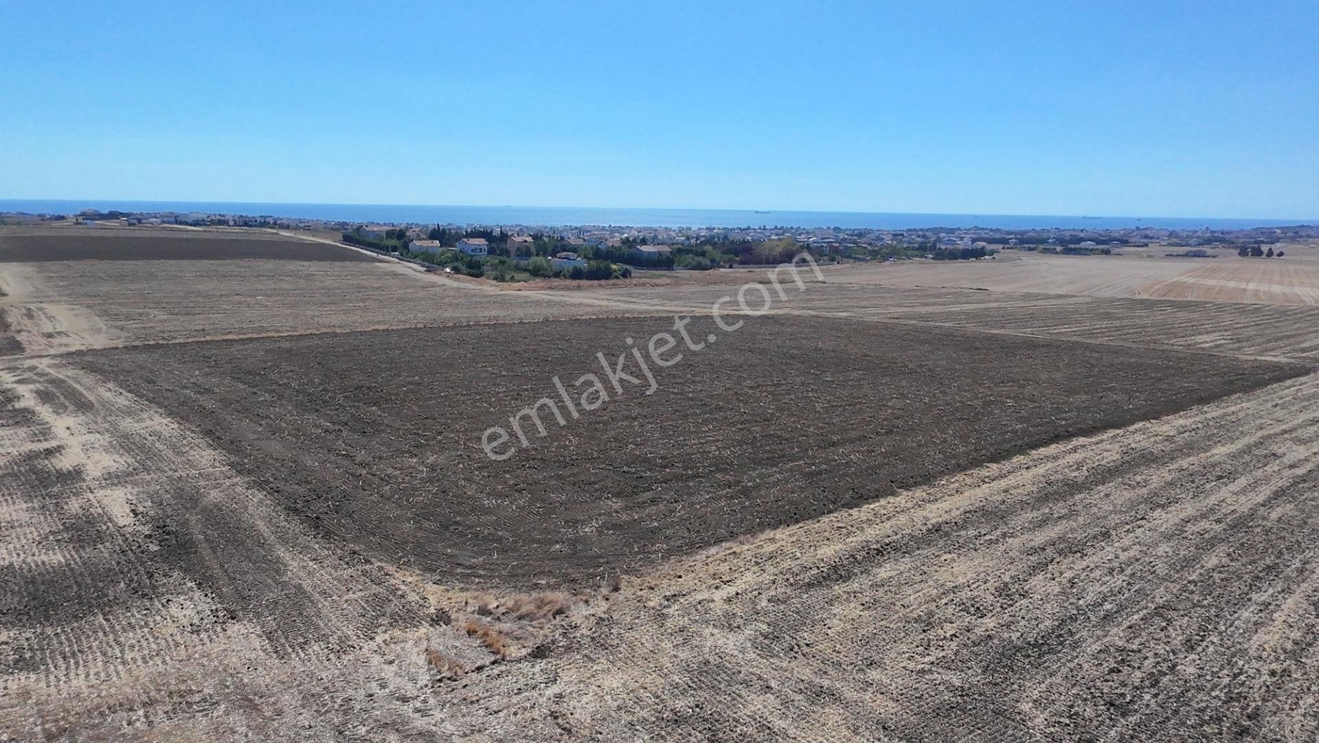 İstanbul Silivri 16 Dönüm Deniz Manzaralı Tarla - Görsel 22