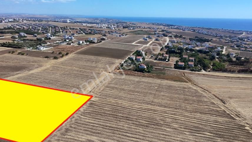 İstanbul Silivri 16 Dönüm Deniz Manzaralı Tarla - Görsel 2