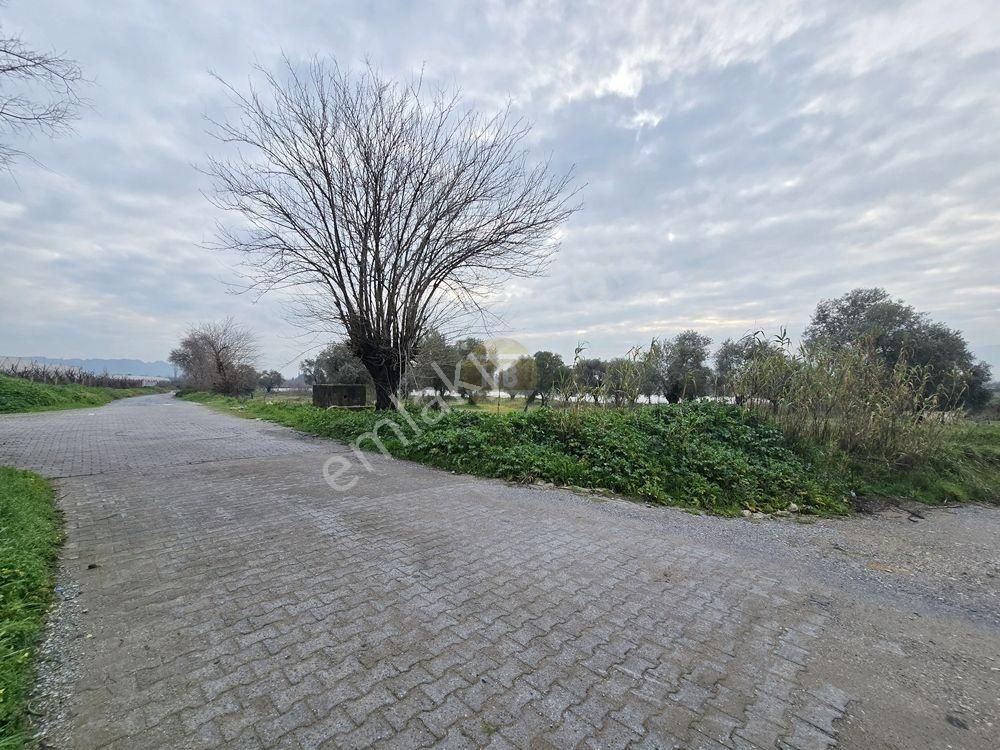 Hb'den Satılık Tarla, Denizli Yoluna Yakın Yatırım Fırsatı 4850 M² - Görsel 7