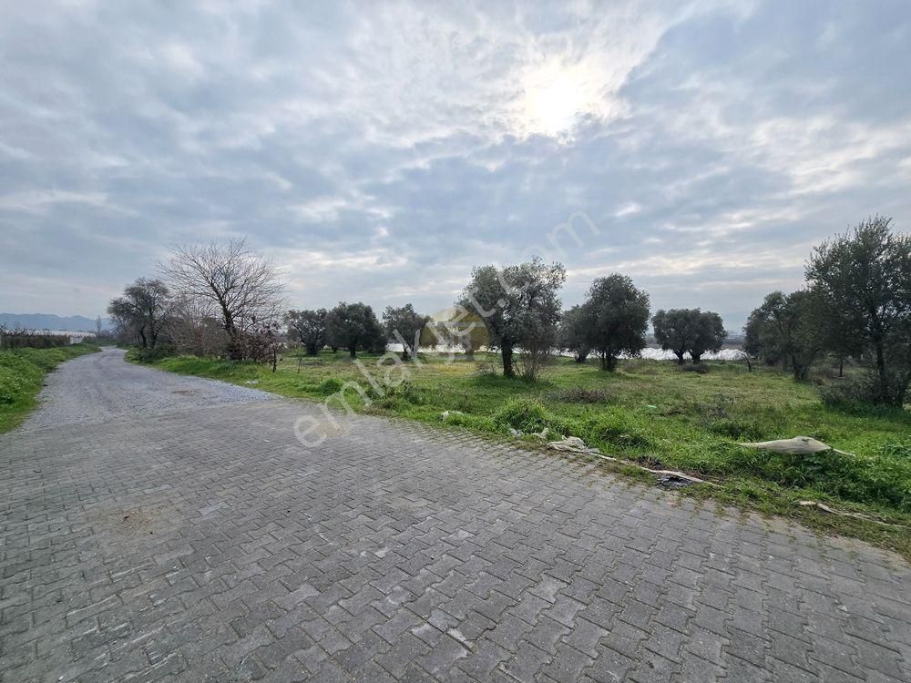Hb'den Satılık Tarla, Denizli Yoluna Yakın Yatırım Fırsatı 4850 M² - Görsel 14