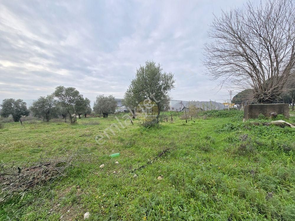 Hb'den Satılık Tarla, Denizli Yoluna Yakın Yatırım Fırsatı 4850 M² - Görsel 10