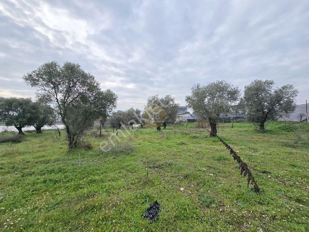 Hb'den Satılık Tarla, Denizli Yoluna Yakın Yatırım Fırsatı 4850 M² - Görsel 12