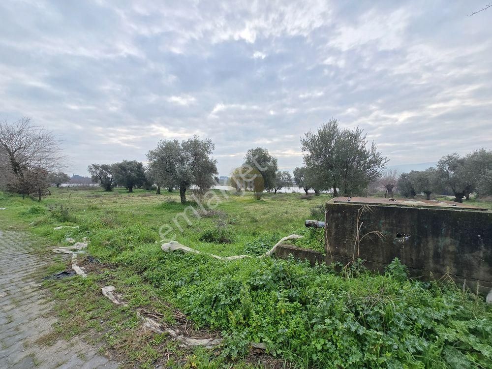 Hb'den Satılık Tarla, Denizli Yoluna Yakın Yatırım Fırsatı 4850 M² - Görsel 8