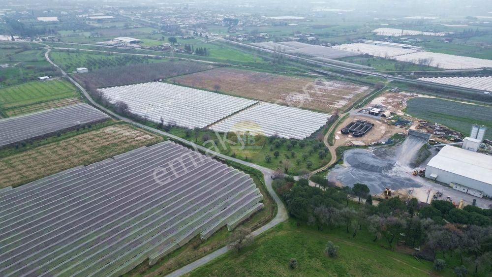 Hb'den Satılık Tarla, Denizli Yoluna Yakın Yatırım Fırsatı 4850 M² - Görsel 2