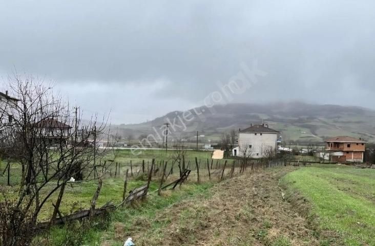 Acil Acil Derince Karagöllü Mahallesi Köy İçi Satılık Tarla - Görsel 9
