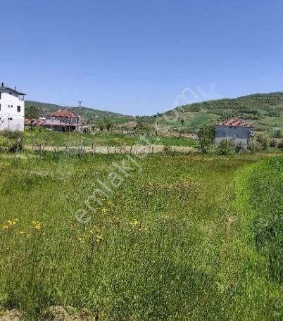 Acil Acil Derince Karagöllü Mahallesi Köy İçi Satılık Tarla - Görsel 5