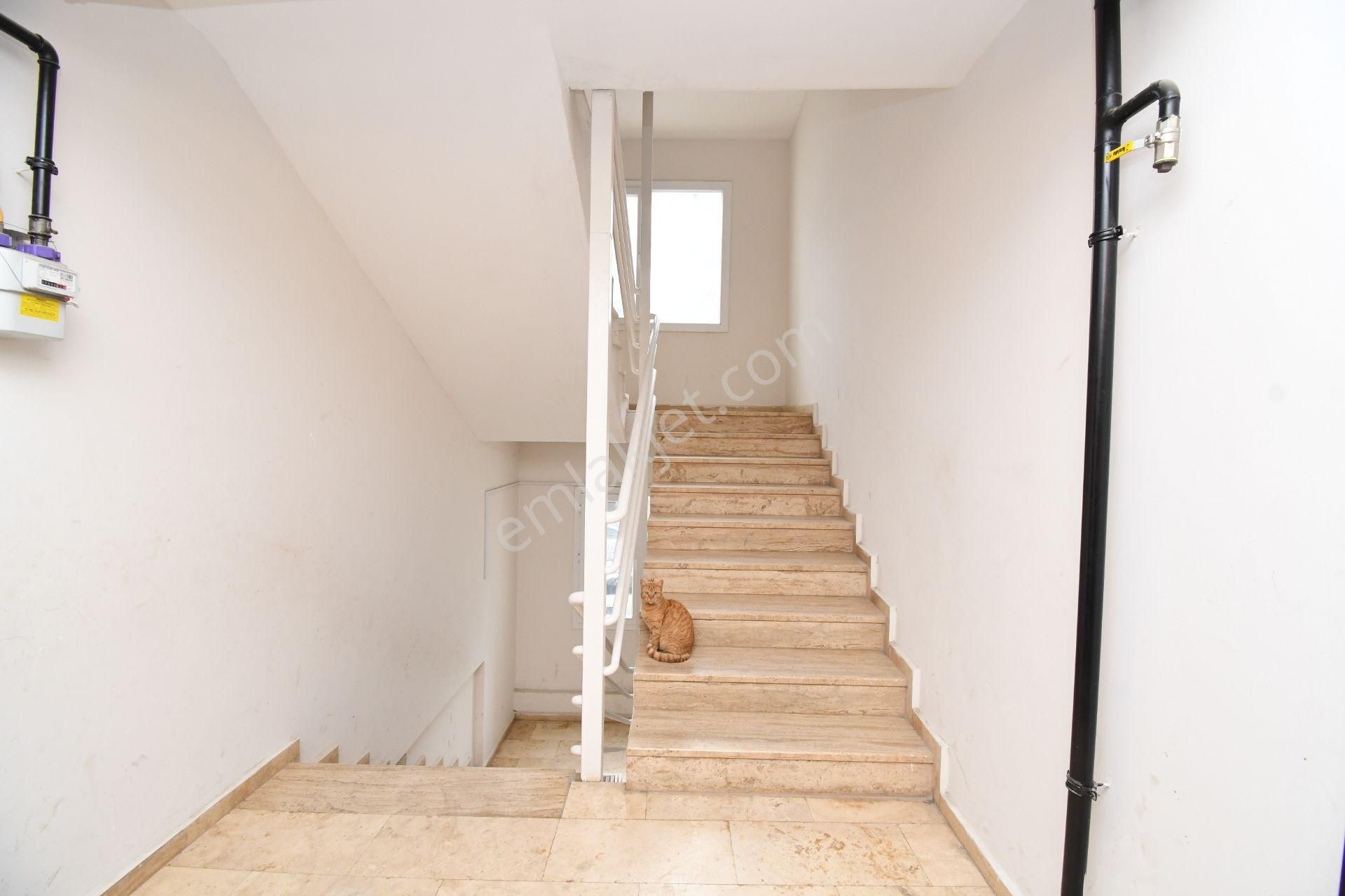 Kuşadası'da Fırsat! 2+1 Geniş Temiz Daire Doğalgaz Kapıda Asansörlü Geniş Balkon - Görsel 22