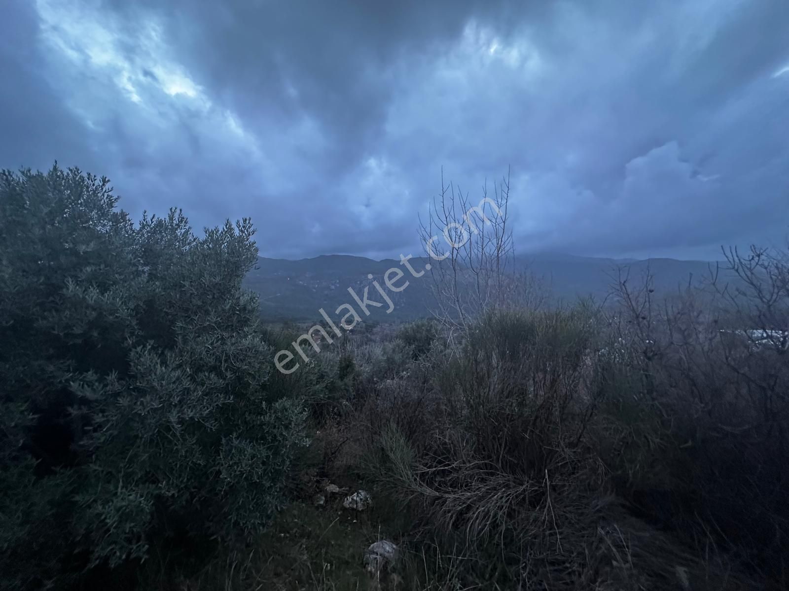 Muğla Dalaman Elcik'te Satılık Tarla - Görsel 31
