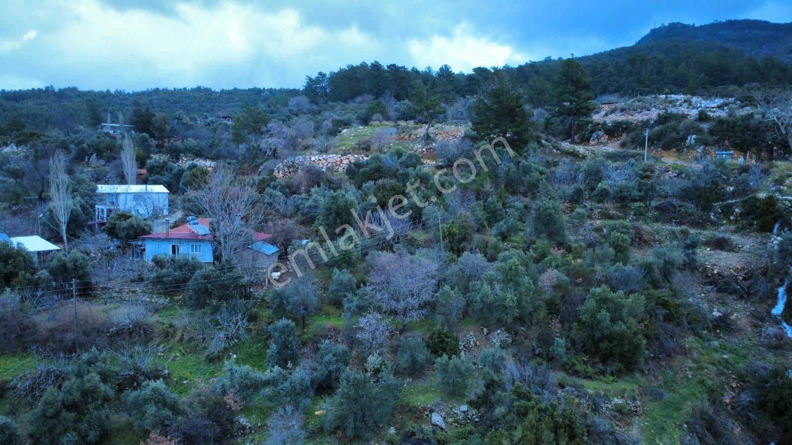 Muğla Dalaman Elcik'te Satılık Tarla - Görsel 5