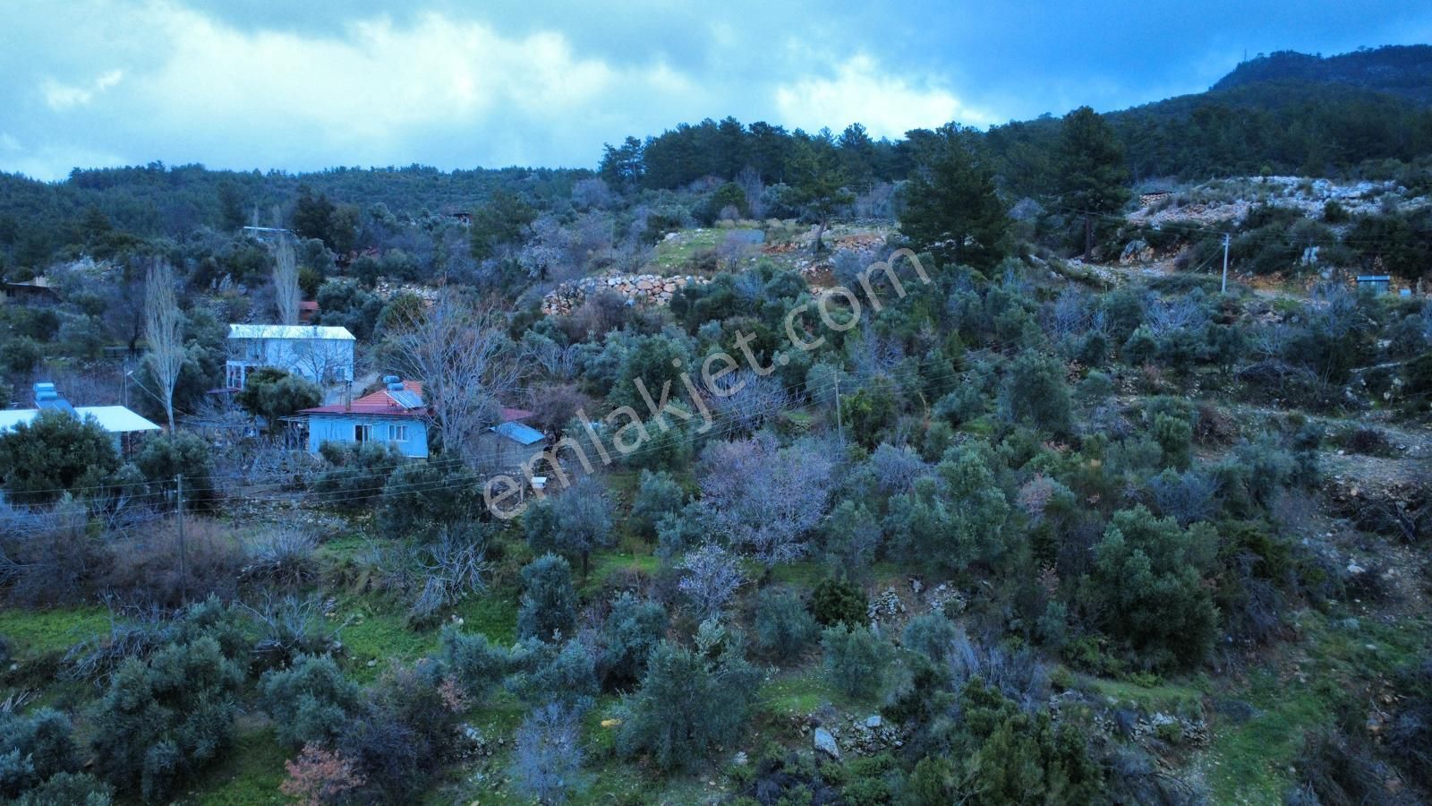 Muğla Dalaman Elcik'te Satılık Tarla