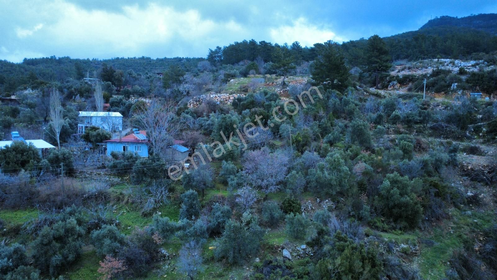 Muğla Dalaman Elcik'te Satılık Tarla - Görsel 6