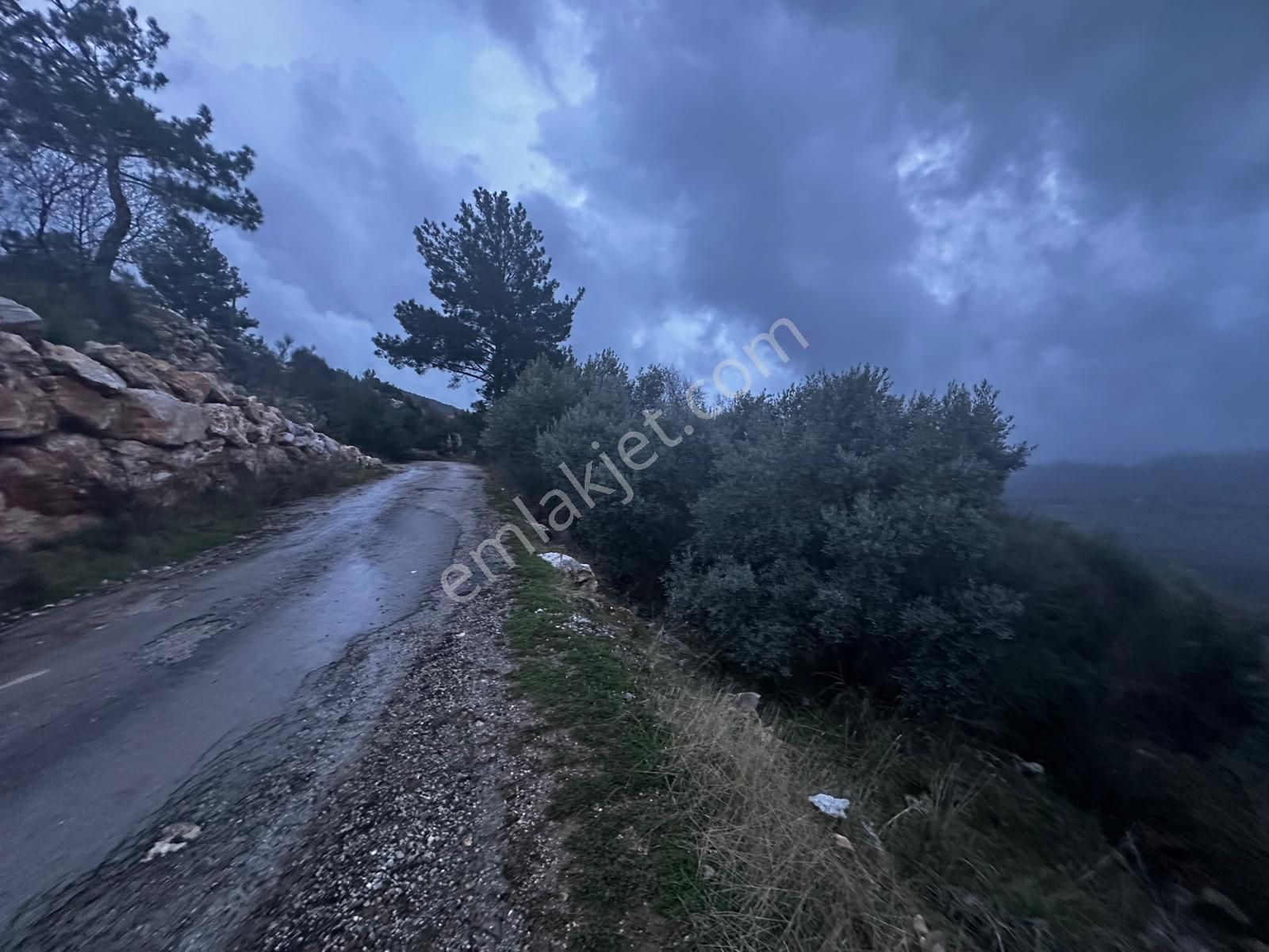 Muğla Dalaman Elcik'te Satılık Tarla - Görsel 29