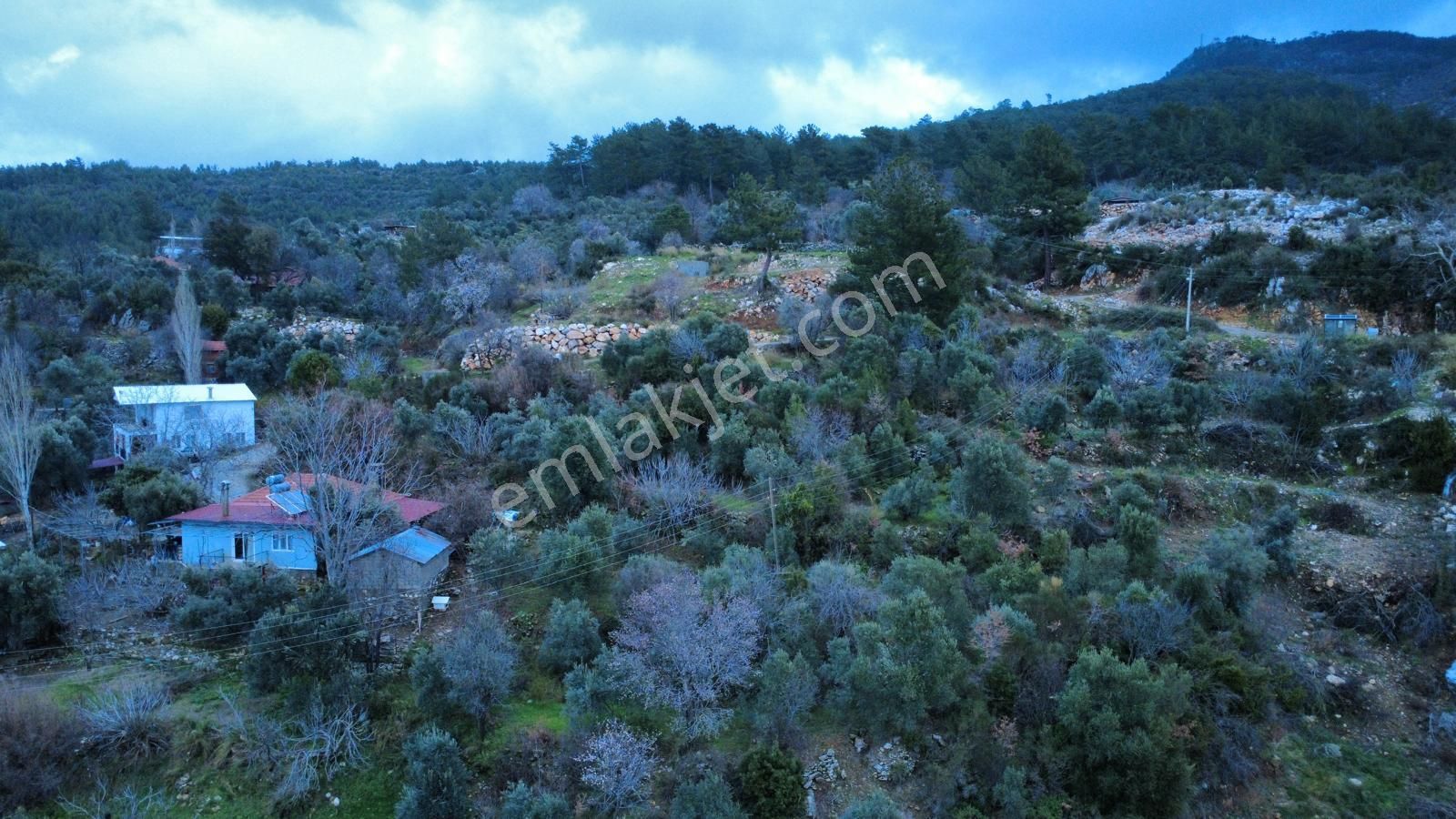Muğla Dalaman Elcik'te Satılık Tarla - Görsel 3