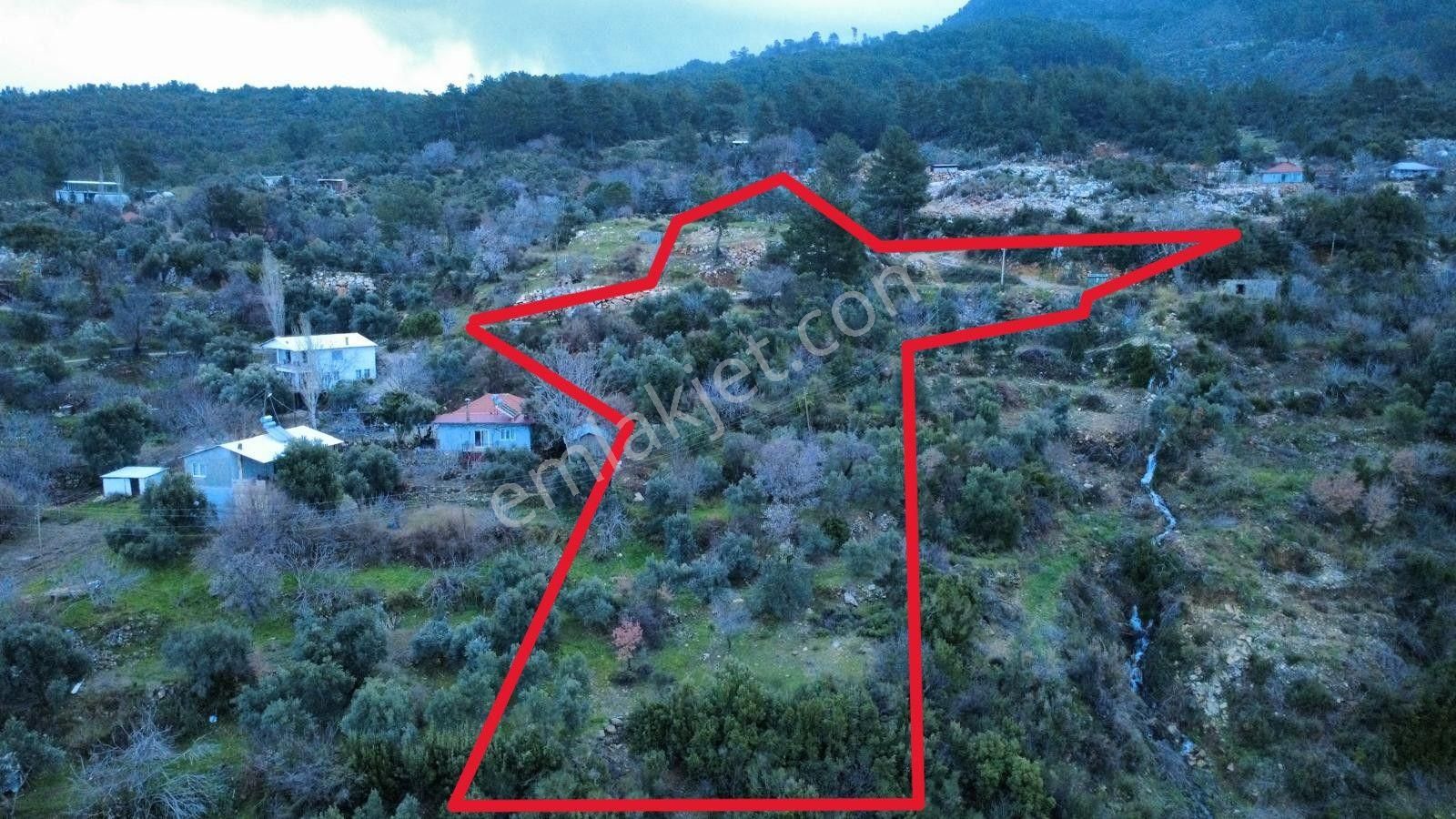 Muğla Dalaman Elcik'te Satılık Tarla - Görsel 4