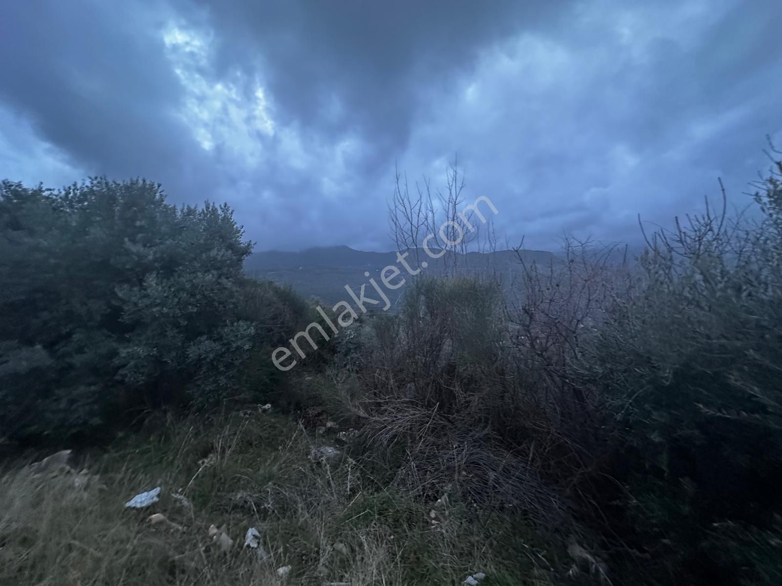 Muğla Dalaman Elcik'te Satılık Tarla - Görsel 27