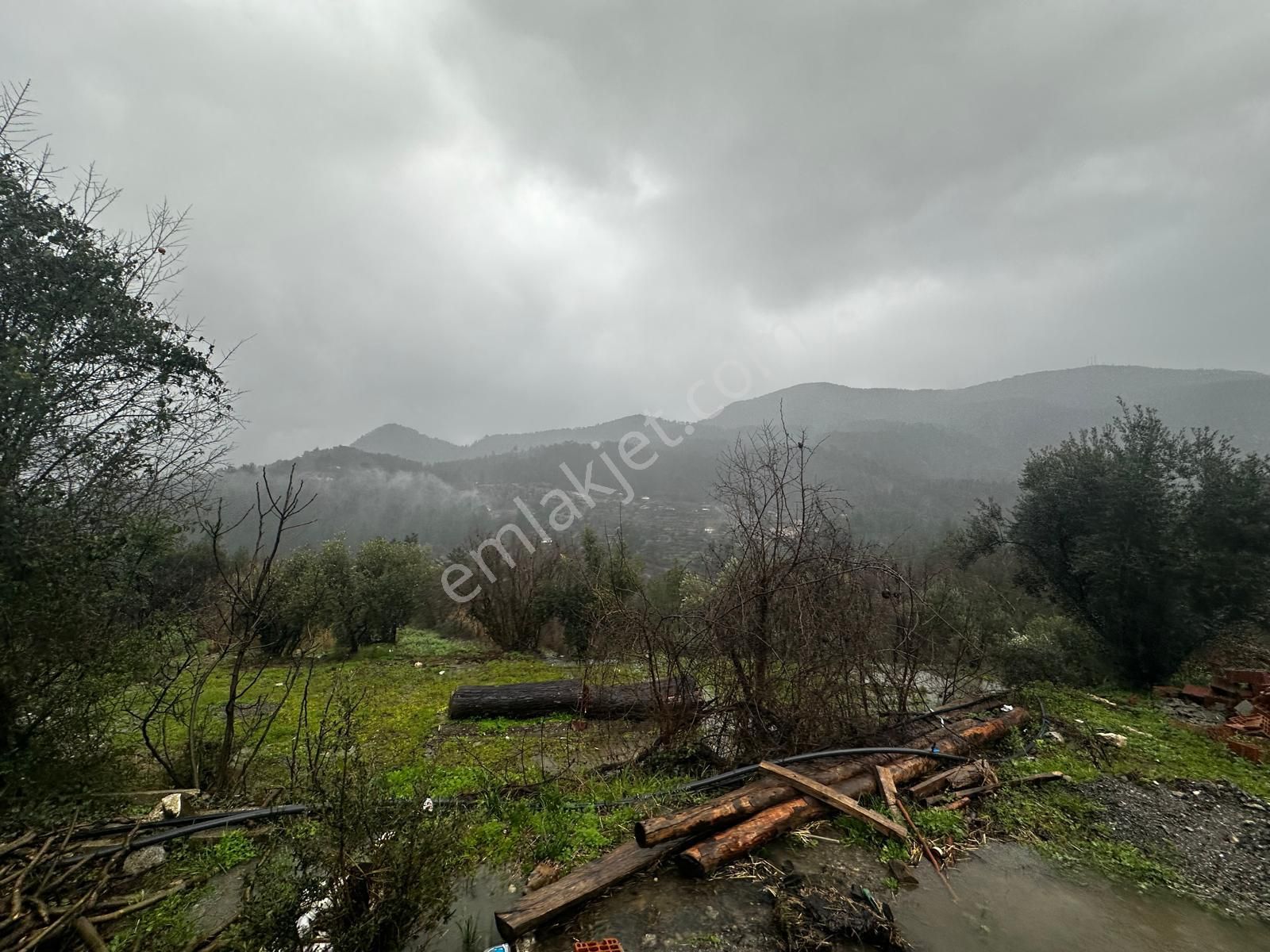 Muğla Dalaman Gürleyik'te Satılık Tarla - Görsel 6