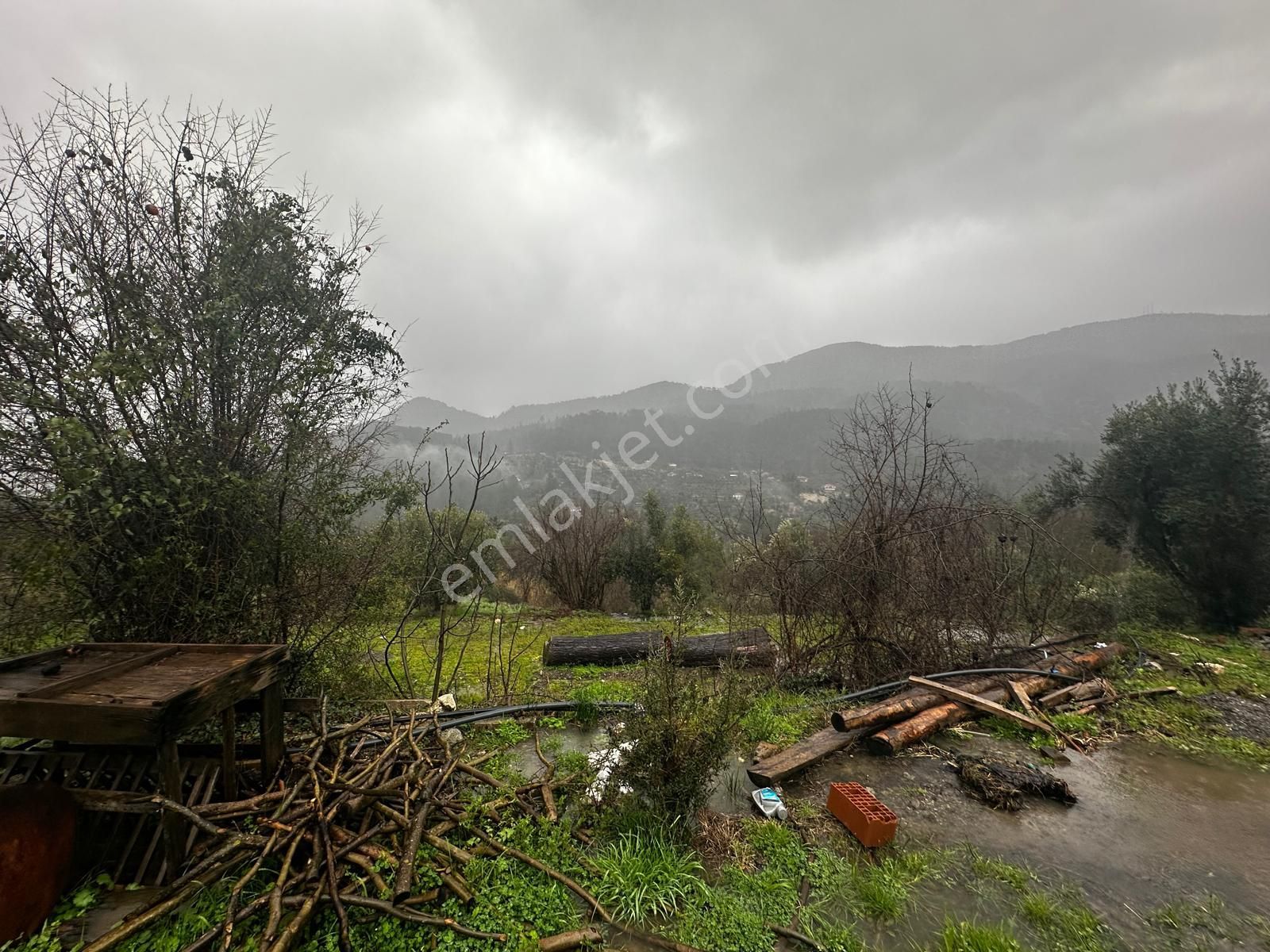 Muğla Dalaman Gürleyik'te Satılık Tarla - Görsel 2