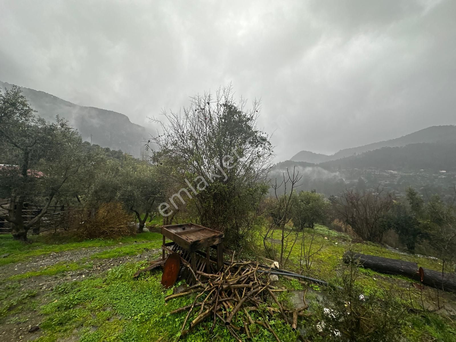 Muğla Dalaman Gürleyik'te Satılık Tarla - Görsel 16
