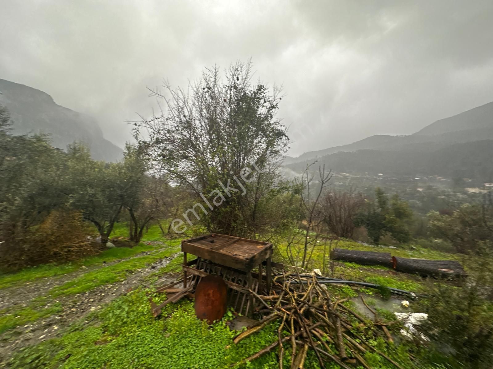 Muğla Dalaman Gürleyik'te Satılık Tarla - Görsel 24