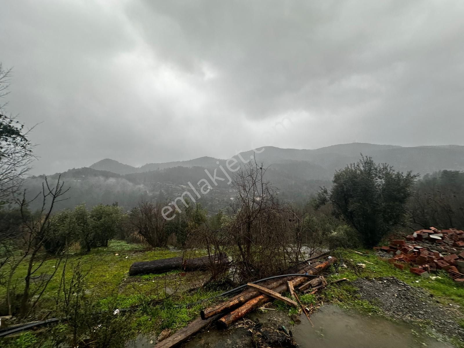 Muğla Dalaman Gürleyik'te Satılık Tarla - Görsel 4