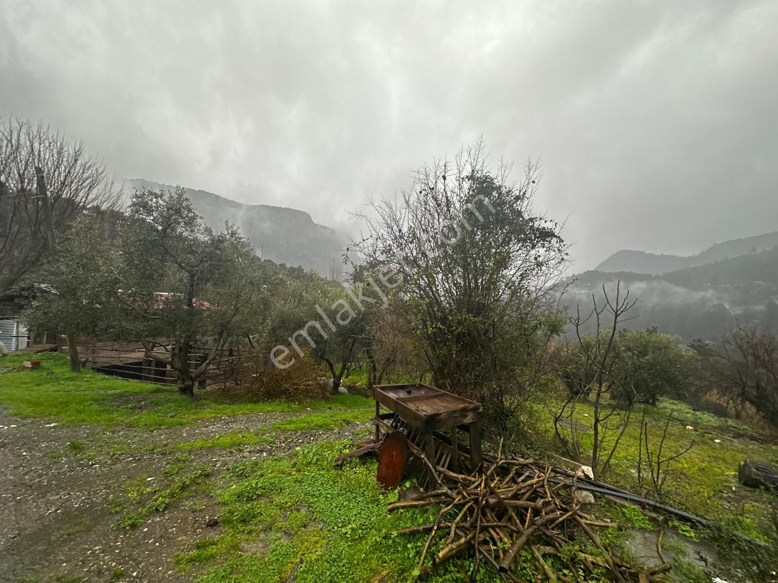 Muğla Dalaman Gürleyik'te Satılık Tarla - Görsel 3