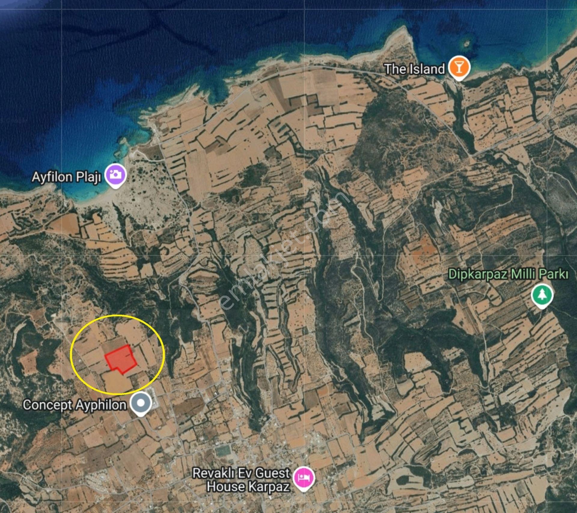 Dipkarpaz Da Yatırımlık 25 Dönüm İmara Açık Arazi - Görsel 4