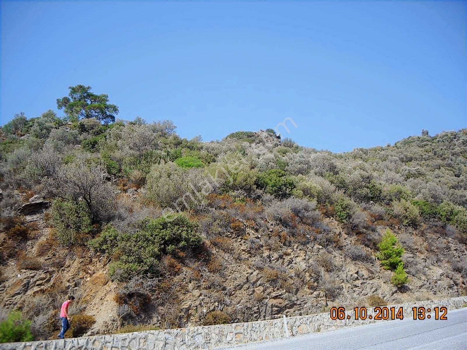 Gümüldürde Ana Yola Yakın 6631 M2 Satılık Zeytinlik Deniz Manzar