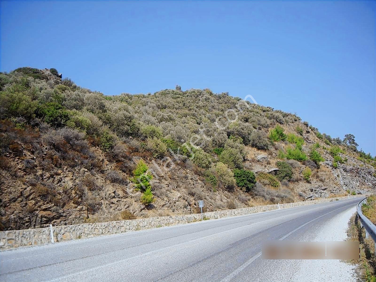 Gümüldürde Ana Yola Yakın 6631 M2 Satılık Zeytinlik Deniz Manzar - Görsel 5