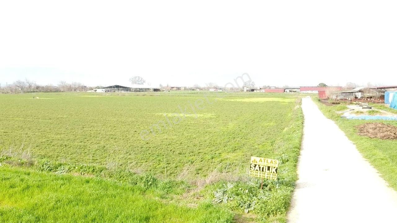 Tire Yiğenli De Fırsat Tarla - Görsel 8