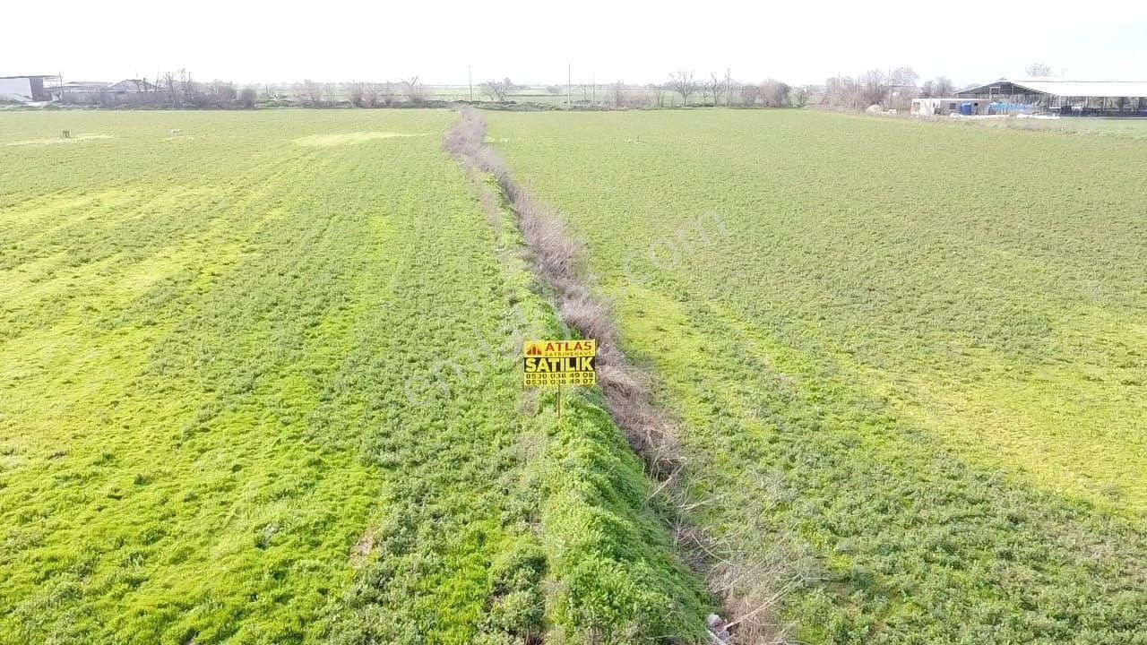 Tire Yiğenli De Fırsat Tarla - Görsel 10