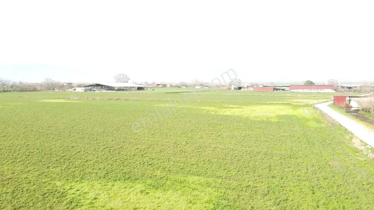 Tire Yiğenli De Fırsat Tarla - Görsel 9