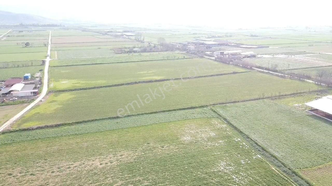 Tire Yiğenli De Fırsat Tarla - Görsel 3