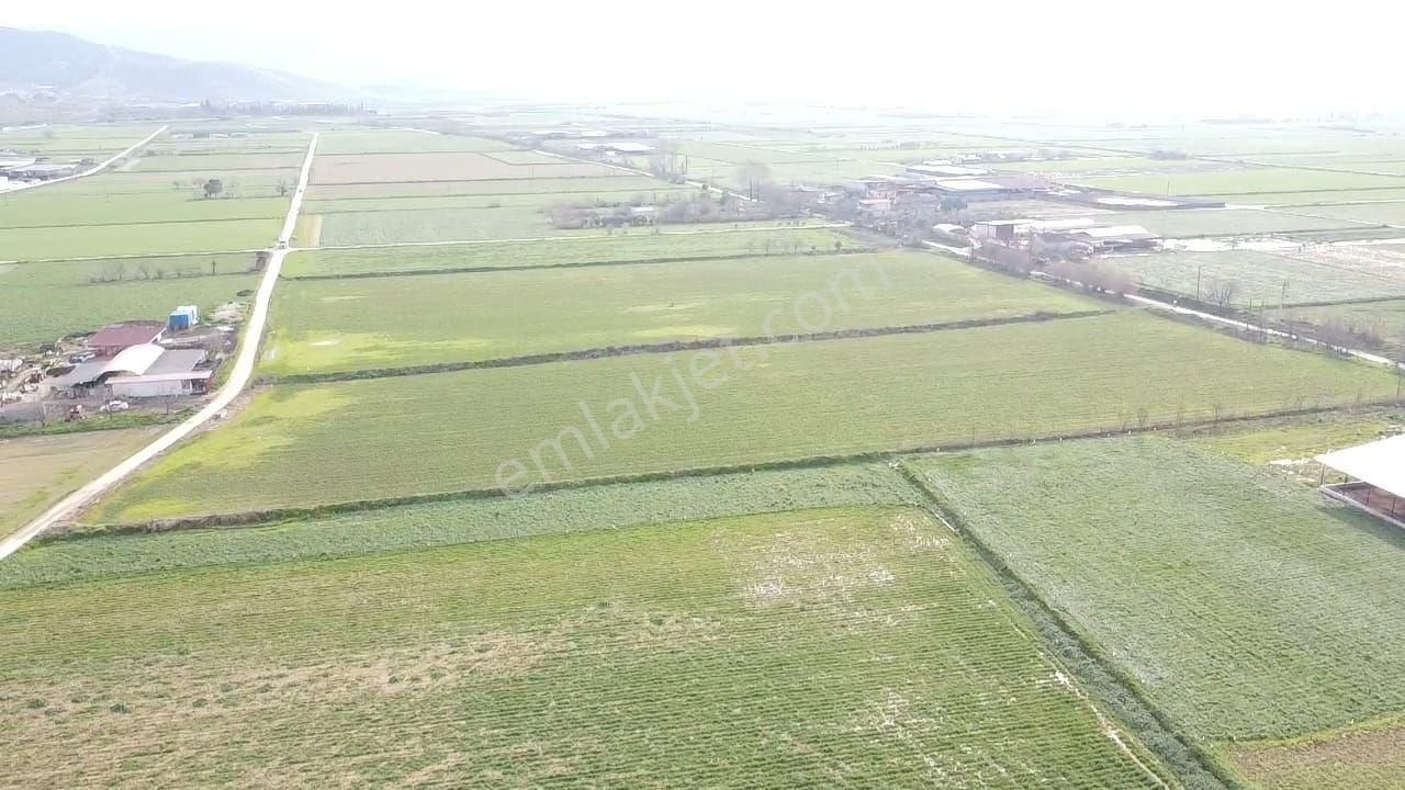 Tire Yiğenli De Fırsat Tarla - Görsel 4