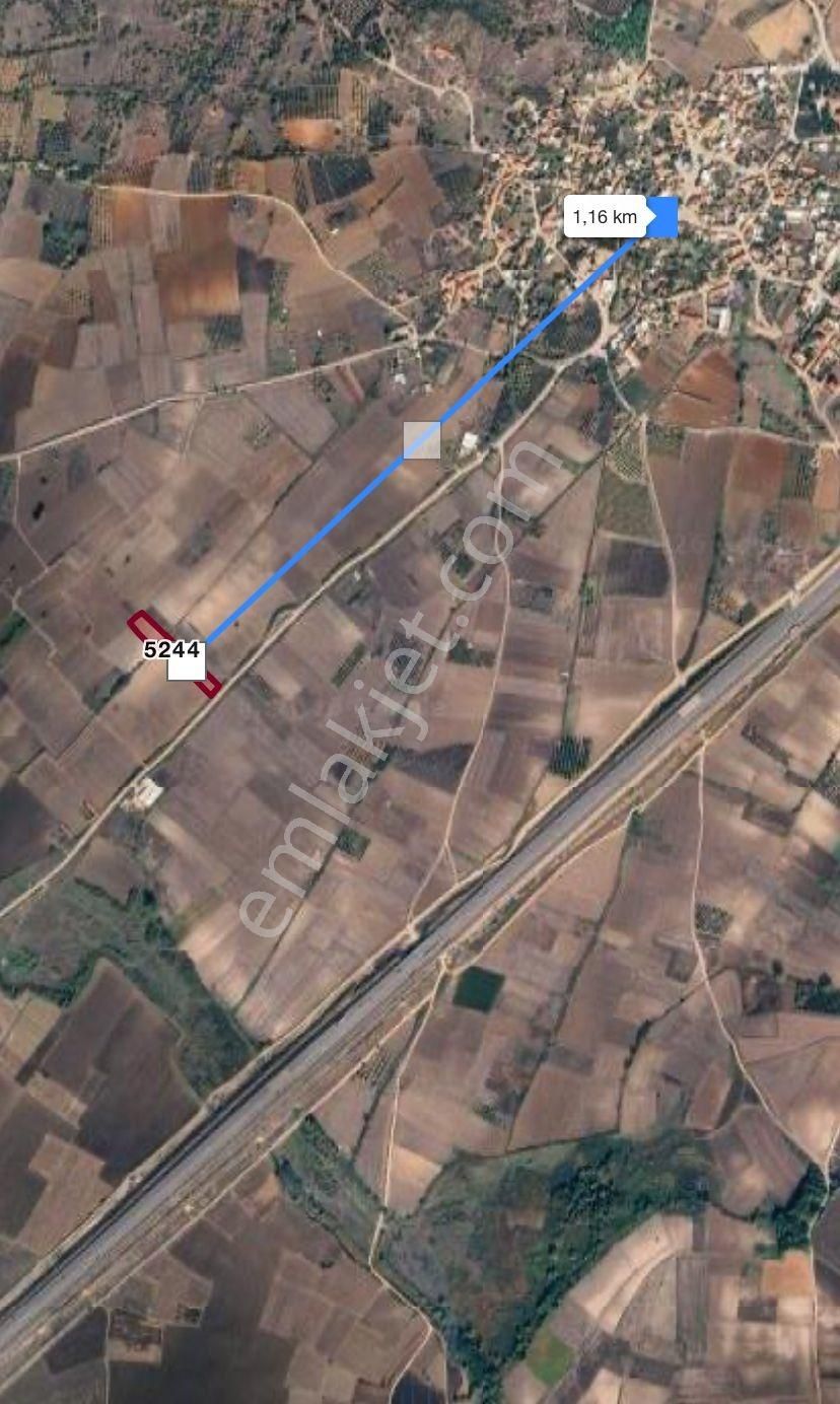 Bursa Karacabey Harmanlı 4.900 M2 Yola Cephe Satılık Tarla - Görsel 2